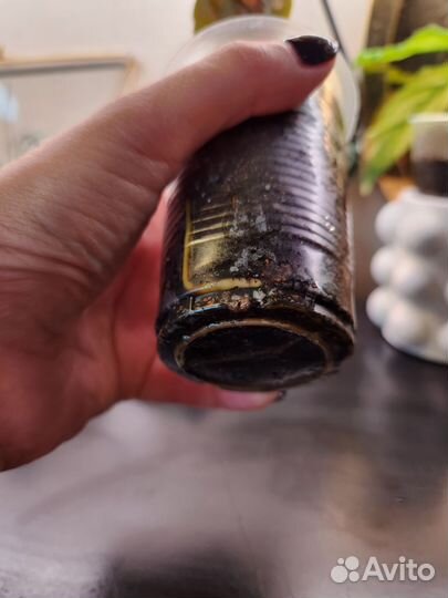 Сингониум клубничный лед