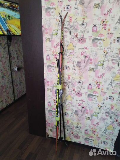 Беговые лыжи