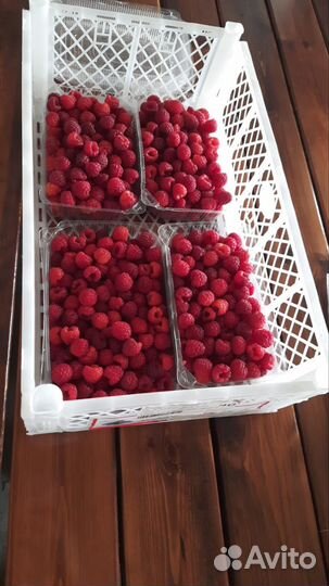 Предлагаем свежую, вкусную малину