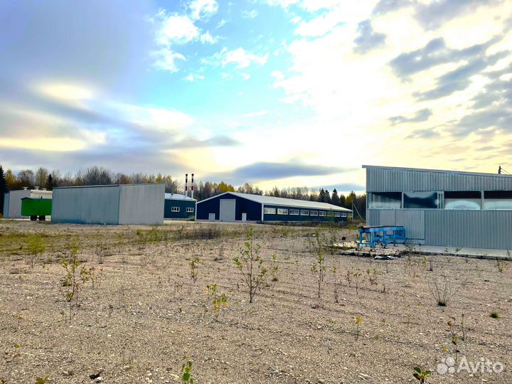 Лесопильное производство