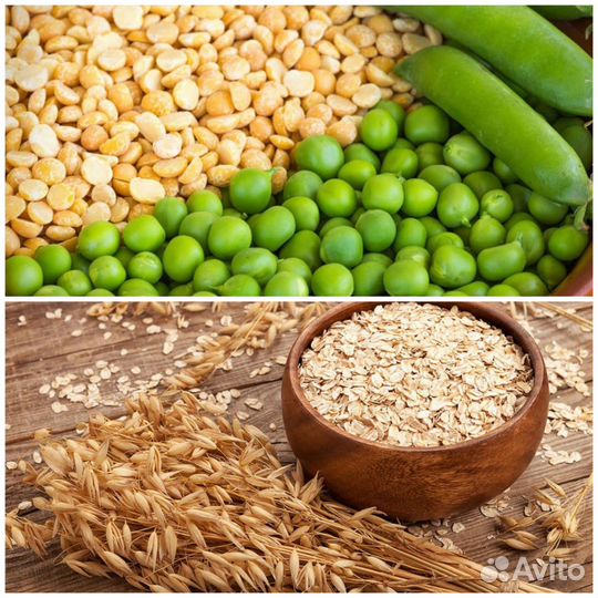 Комбикорма для животных и птицы (гранулы в ассорт)