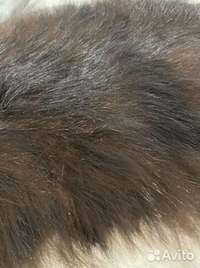 Шкурка лисы на подкладке