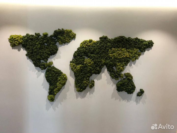 Озеленение мхом