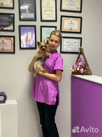 Стрижка собак и кошек