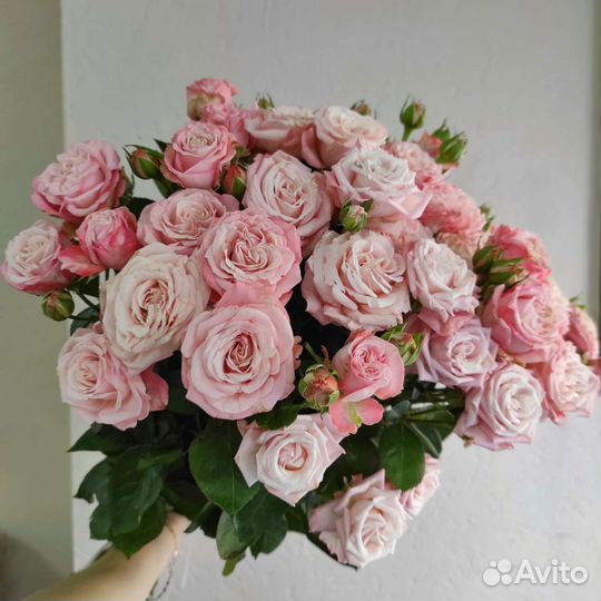 Кустовые пионовидные розы с доставкой