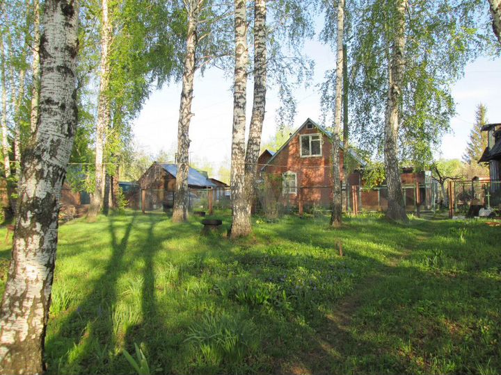 Участок 6 сот. (СНТ, ДНП)