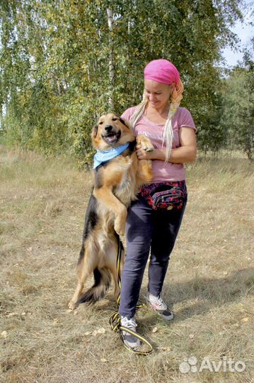 Супер пёс в добрые руки