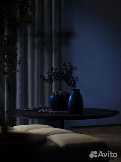 3Ds Max + Corona Renderer