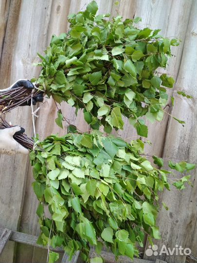 Свежие берёзовые веники