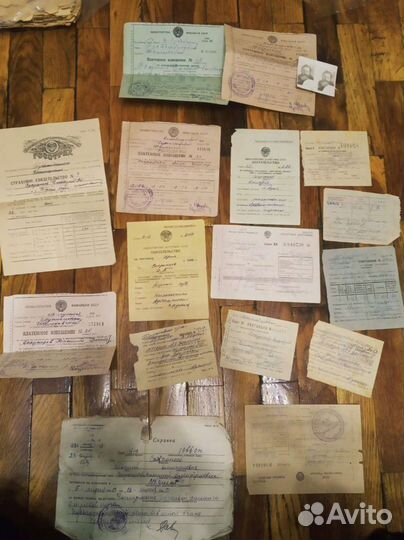 Старинные документы, сундук, Псковская глубинка