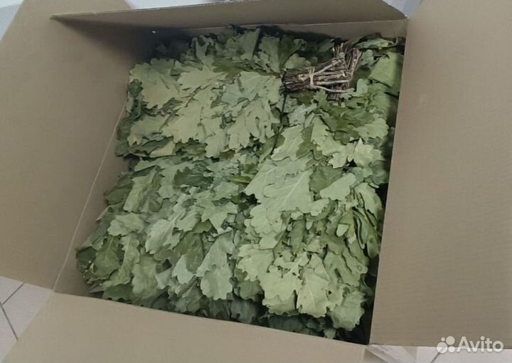 Веники дубовые банные