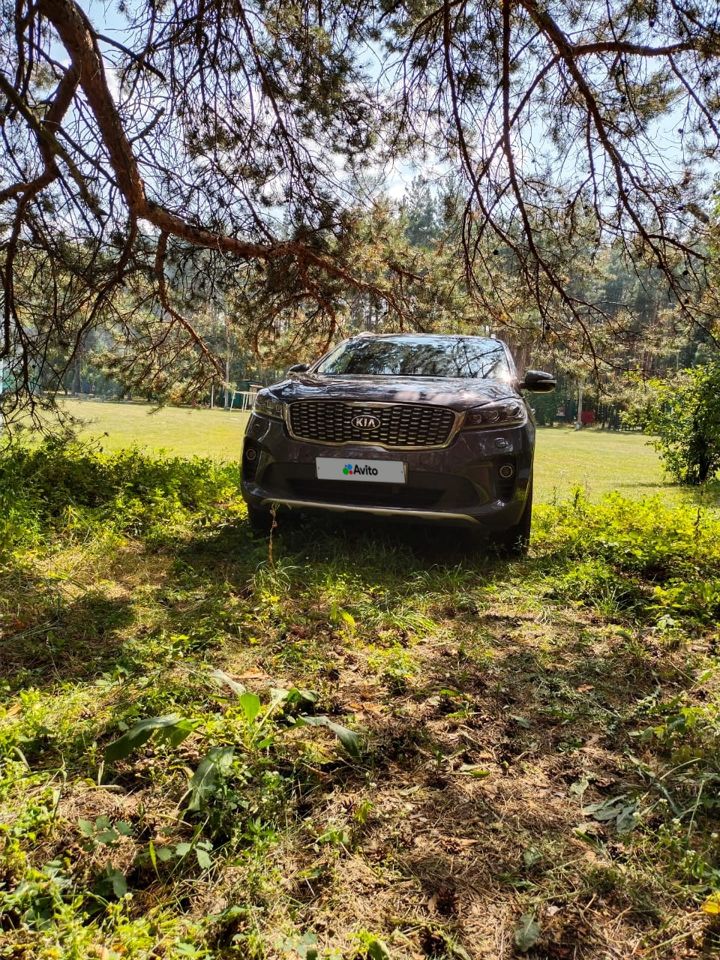 Kia Sorento Prime: фото владельца