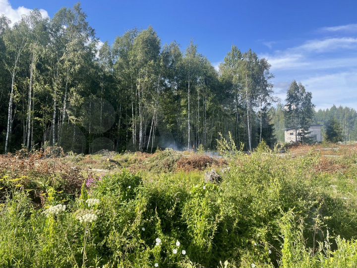 Участок 25 сот. (ИЖС)