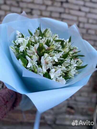 Букеты альстромерий