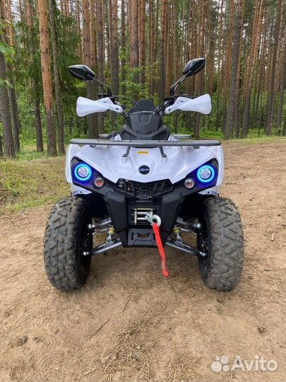 Квадроцикл Motax Grizlik 200 кубов Ultra