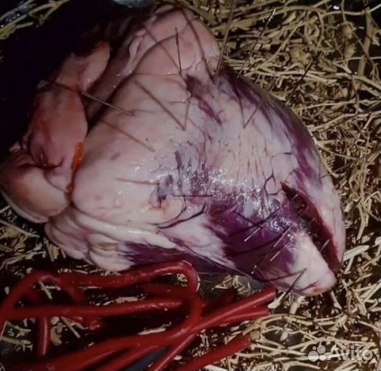 Приворот, гадание, снятие порчи, обучение