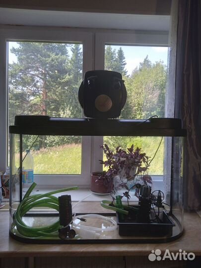 Аквариум на 100 литров