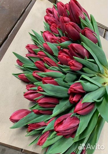 Букет из красных тюльпанов к 8 марта 111шт