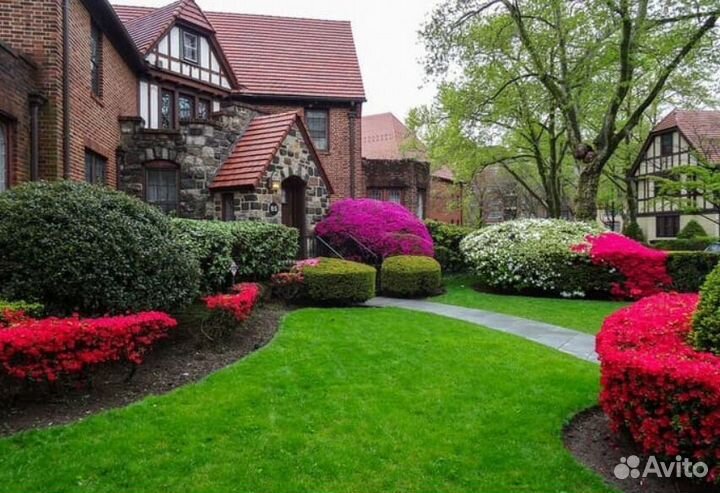 Семена газона