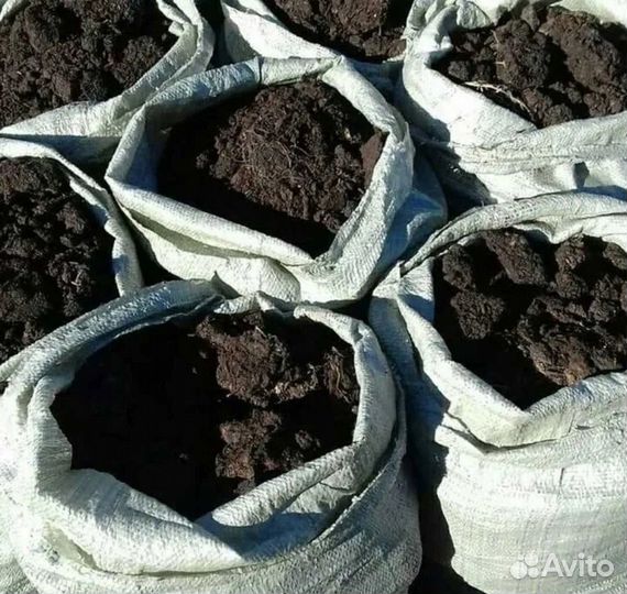 Грунт для огурцов и помидор