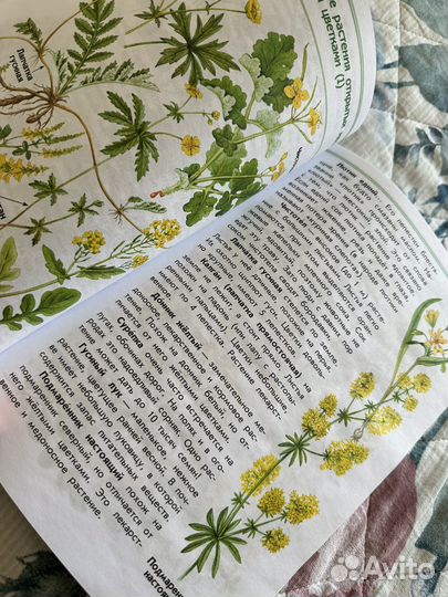 Атлас определитель А.А. Плешаков