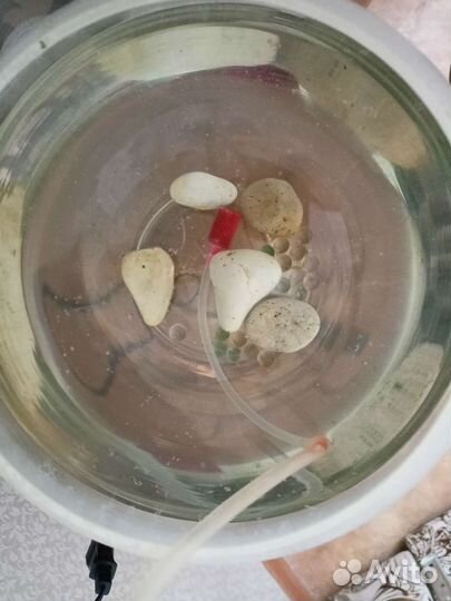 Аквариум круглый