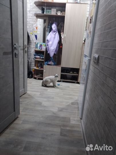 Экзот. Вязка