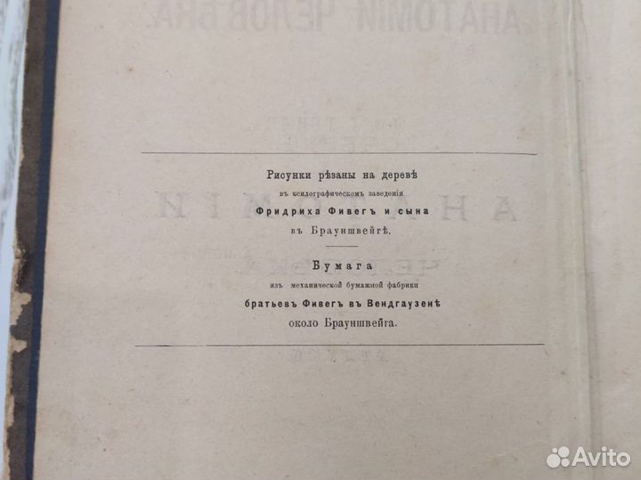 Антикварные книги Атлас по анатомии Генле 1881