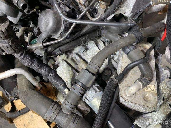 АКПП Audi Q3 8U cpsa 2013