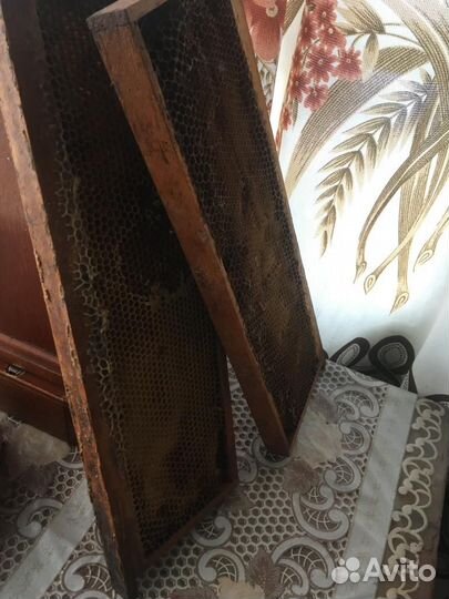 Сушь полурамка