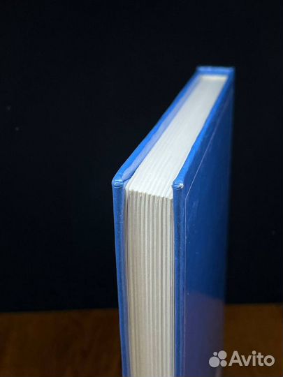 Информатика