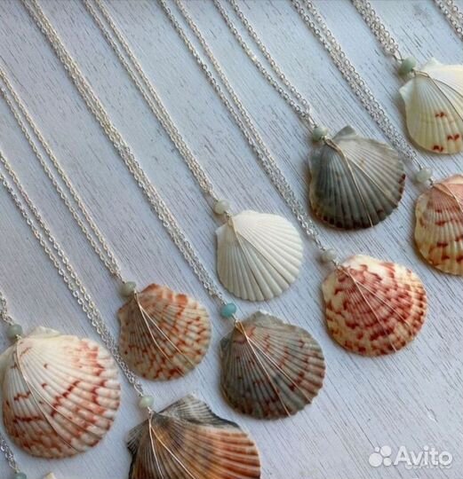 Морские ракушки раковины