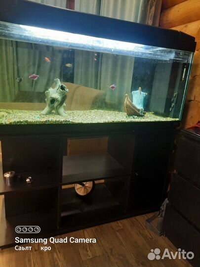 Аквариум 124 48 53(высота без крышки)