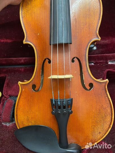 Скрипка 3 4 горонок