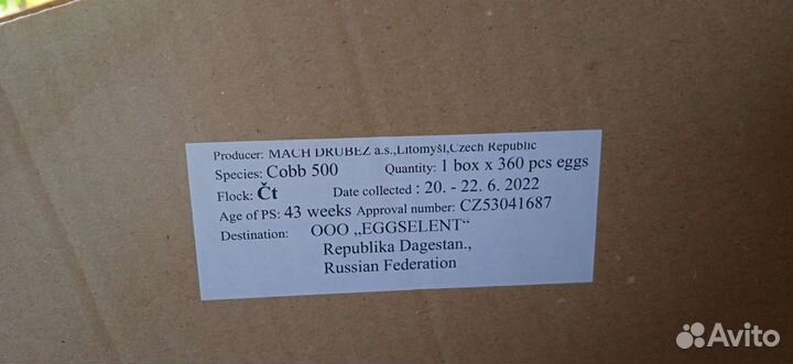 Цыплята Бройлеры Кобб, Росс импорт