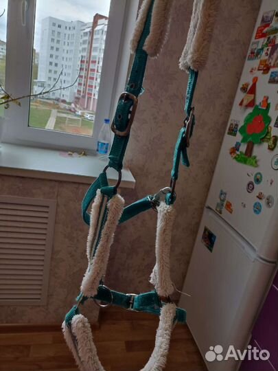 Недоуздок для лошади