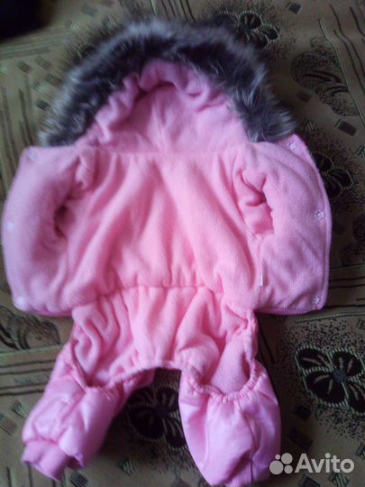 Одежда для собак