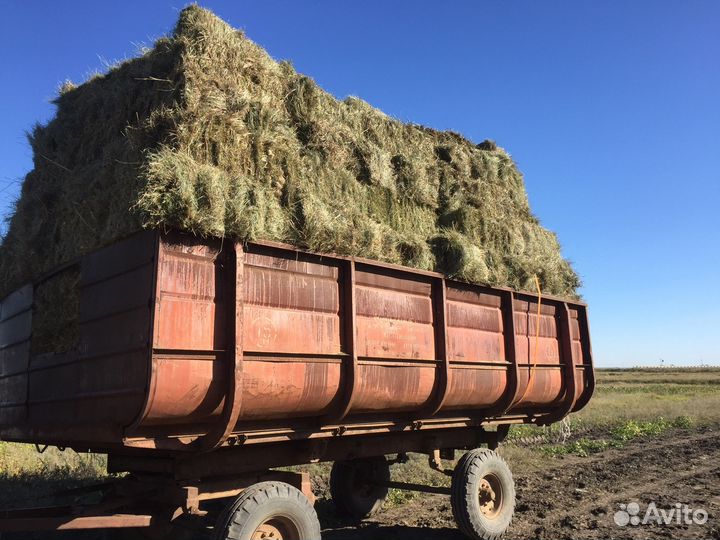 Сено степное разнотравье в кипах