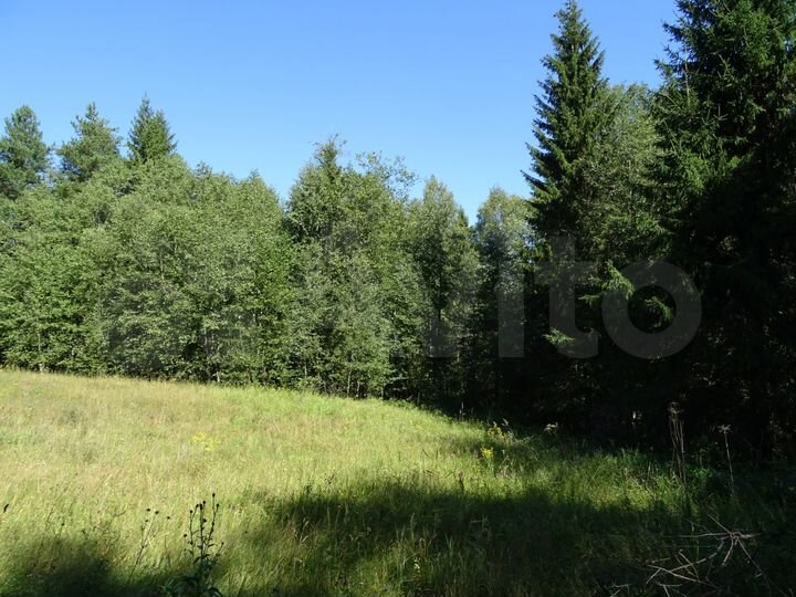 Участок 4,89 га (СНТ, ДНП)