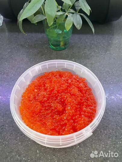 Красная икра горбуши 2023 года