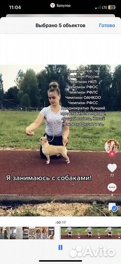 Вязка кобель