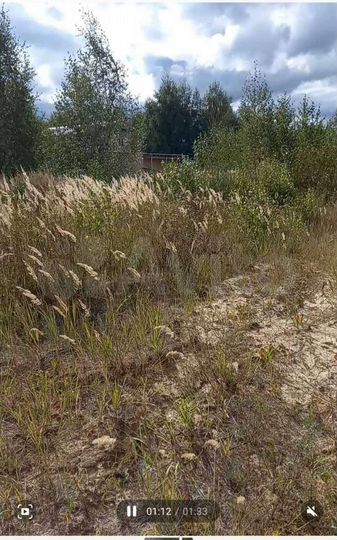 Участок 10 сот. (СНТ, ДНП)