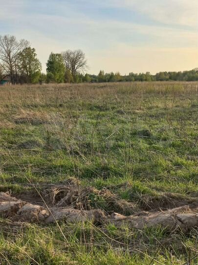 Участок 3 га (СНТ, ДНП)