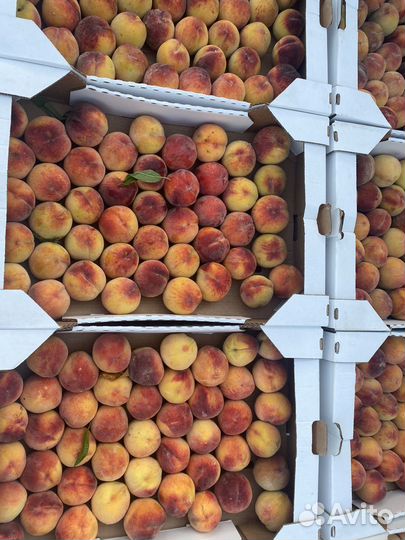 Персик крым