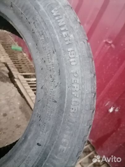 Pirelli Winter 190 Performance 195/65 R15