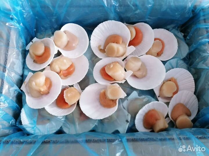 Морской гребешок (с икрой, по шанхайски)