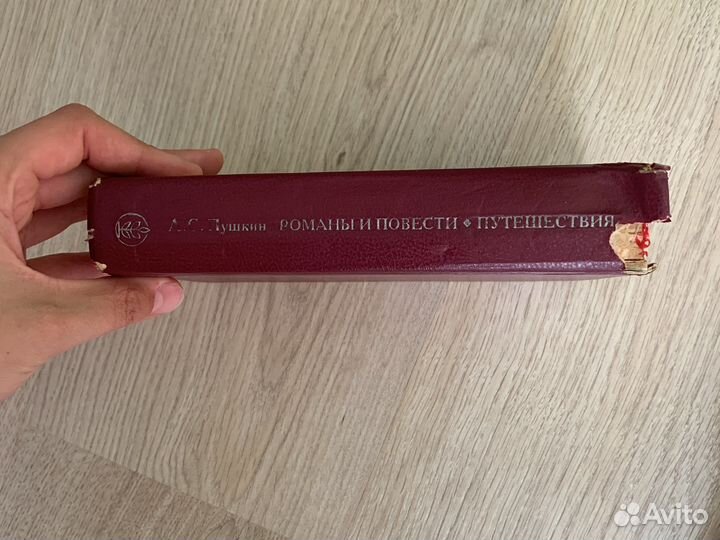 Пушкин книги