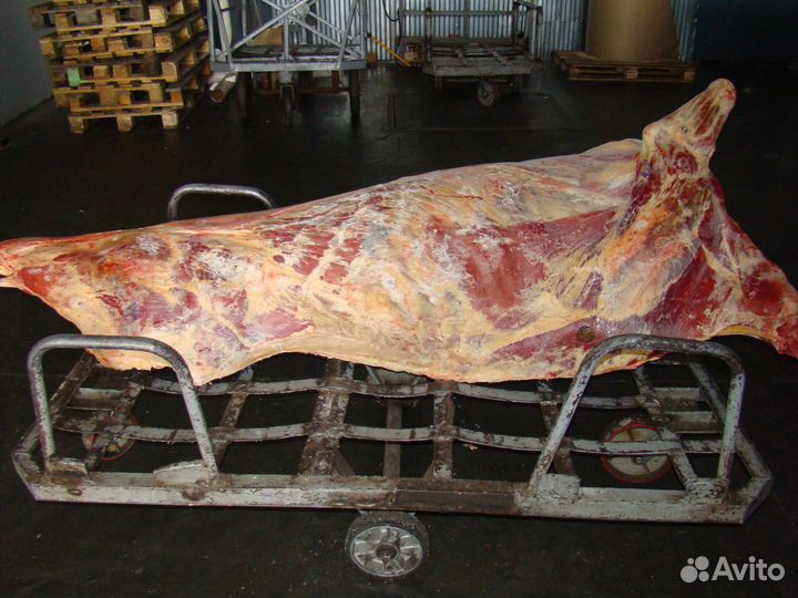 Мясо говядина,свинина,конина от 300кг