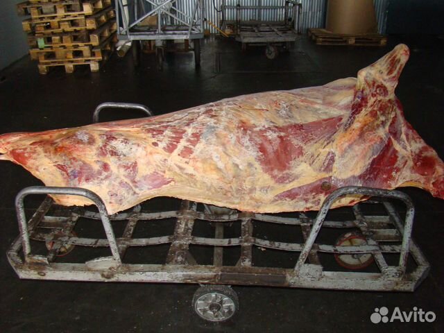 Мясо говядина,свинина,конина от 300кг