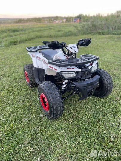 Детский квадроцикл Motoland 125 Wild